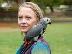 PoulaTo: Γυναίκα αφρικανικός γκρίζο παπαγάλος προς πώληση...